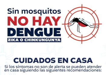Recomendaciones para prevenir el dengue.