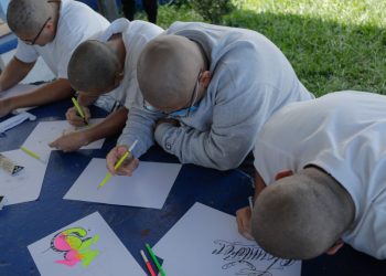 Plantean modificar la atención a los jóvenes de Gaviotas