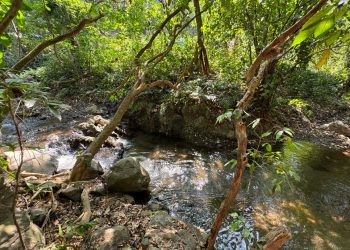 Reserva está bajo el resguardo del Conap. / Foto: Yuliza Muñoz.