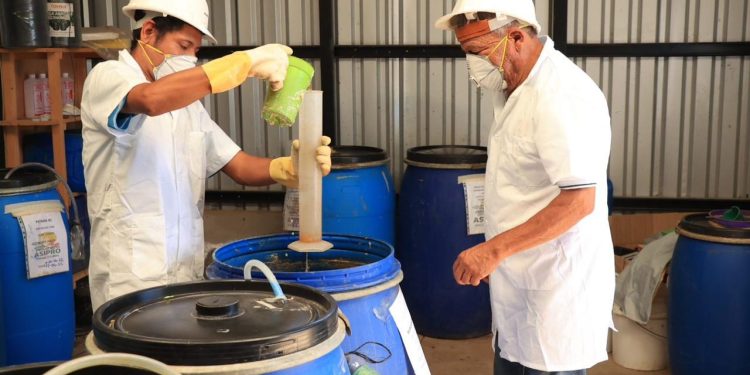 MAGA impulsa desarrollo rural con aboneras comunitarias