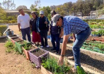 MAGA brinda asistencia técnica para huertos comunales