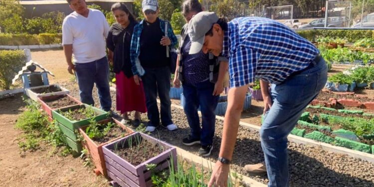 MAGA brinda asistencia técnica para huertos comunales