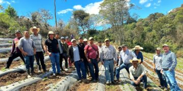 Brindan capacitación contra plagas y enfermedades en cultivos de hortalizas en Jalapa