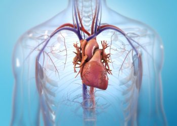 Analizan células cardíacas. / Foto: MuyComputer.