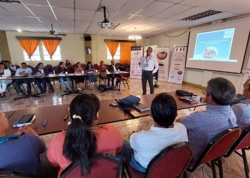 Articulan esfuerzos para erradicar la violencia contra la niñez