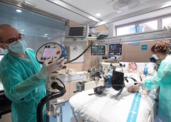 Publican ley sobre trasplante de órganos y tejidos humanos. / Foto: EFE.