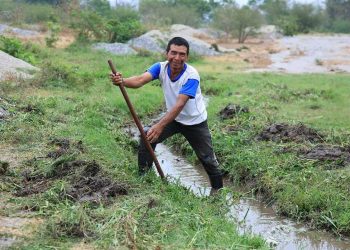 La Política Nacional de Riego tiene por fin mejorar la producción de las tierras. / Foto: MAGA.