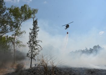 La foto de la semana: Guatemala sale adelante entre los incendios