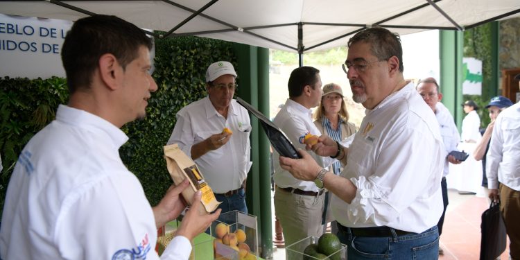 Con uso de tecnología agrícola se espera ayudar a pequeños agricultores del país