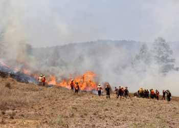 Primer ejercicio nacional de supresión de incendios forestales en Huehuetenango