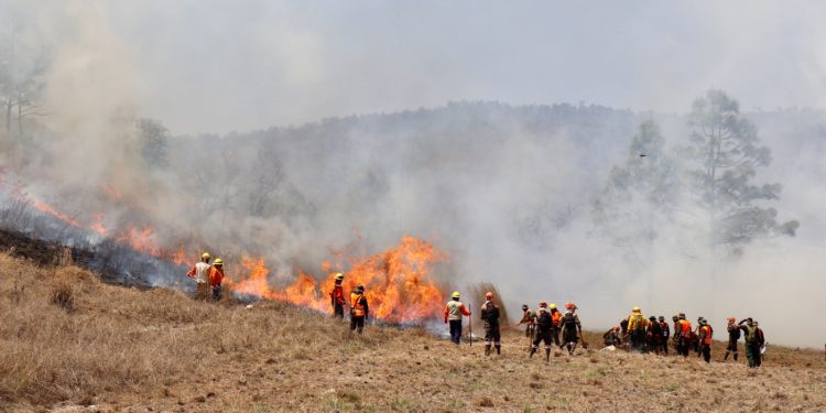 Primer ejercicio nacional de supresión de incendios forestales en Huehuetenango