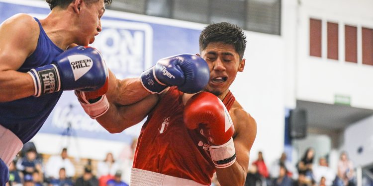 Golpes de campeones: Resumen del Campeonato Nacional de Boxeo Masculino Élite y Juvenil
