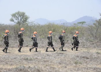 Desarrollan ejercicio de supresión de incendios forestales en Jalapa