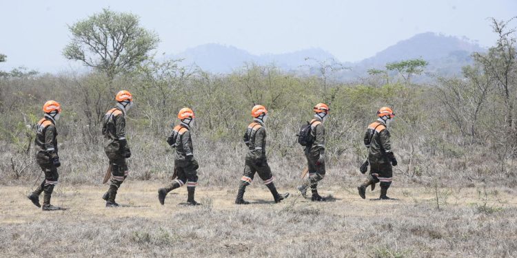 Desarrollan ejercicio de supresión de incendios forestales en Jalapa