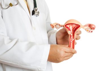 Aparato reproductor femenino muestra las trompas de Falopio. / Foto: Foto Yahoo Vida y Estilo.
