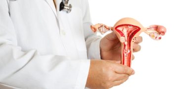 Aparato reproductor femenino muestra las trompas de Falopio. / Foto: Foto Yahoo Vida y Estilo.