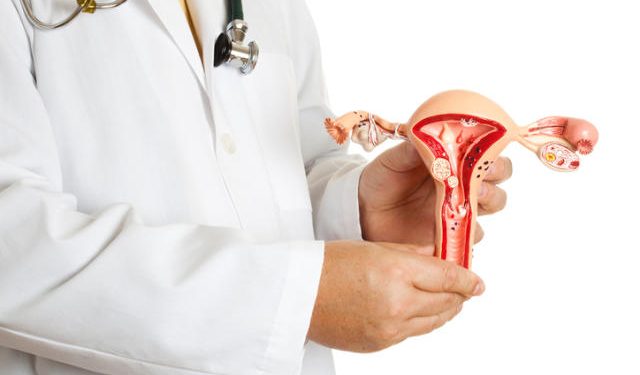 Aparato reproductor femenino muestra las trompas de Falopio. / Foto: Foto Yahoo Vida y Estilo.