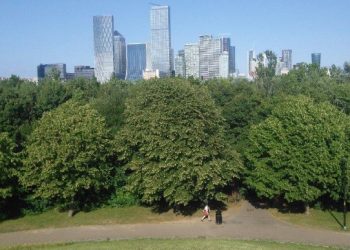 Bosques urbanos, una solución verde para oxigenar las grandes ciudades