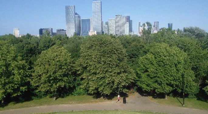 Bosques urbanos, una solución verde para oxigenar las grandes ciudades