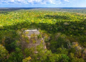Suspenden Plan Maestro en la Biósfera Maya por irregularidades