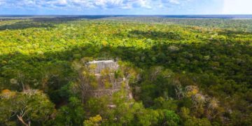 Suspenden Plan Maestro en la Biósfera Maya por irregularidades