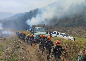 Conred en alerta anaranjada institucional tras superar récord de incendios