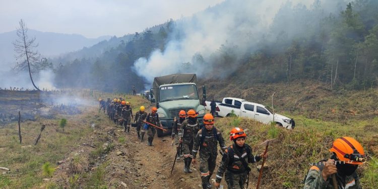 Conred en alerta anaranjada institucional tras superar récord de incendios