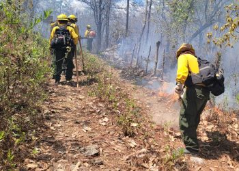 Pese a los esfuerzos de los bomberos forestales, siguen activos 45 incendios