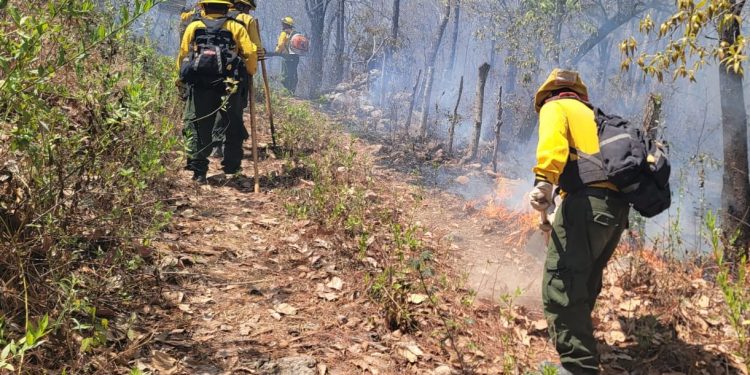 Pese a los esfuerzos de los bomberos forestales, siguen activos 45 incendios