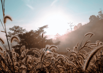 Guatemala registró en marzo las temperaturas más altas de los últimos 30 años