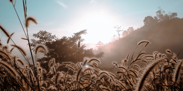 Guatemala registró en marzo las temperaturas más altas de los últimos 30 años