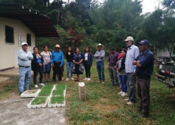 Comunidades unidas por la reforestación del río Pojom, en Huehuetenango