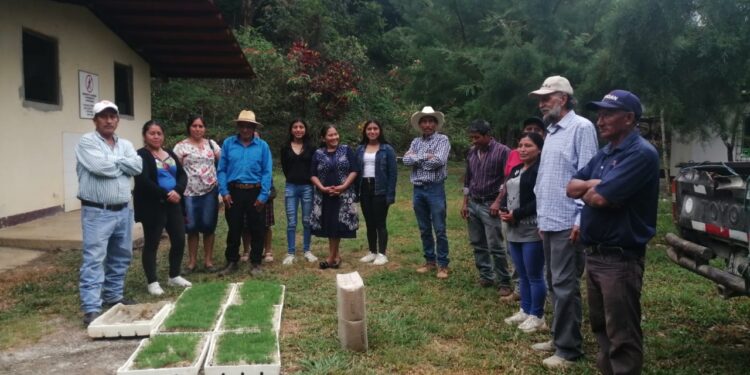 Comunidades unidas por la reforestación del río Pojom, en Huehuetenango
