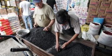 Mineco autoriza importación de frijol negro con arancel cero