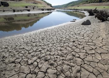 Fundación Bezos donará para combatir cambio climático. / Foto: EFEverde.