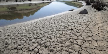 Fundación Bezos donará para combatir cambio climático. / Foto: EFEverde.