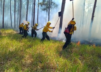 Combate de incendio forestal en Poptún, Petén. / Foto: Conred.