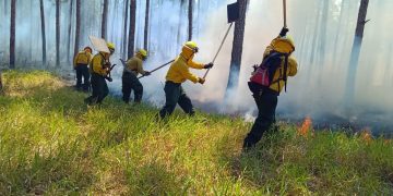 Combate de incendio forestal en Poptún, Petén. / Foto: Conred.