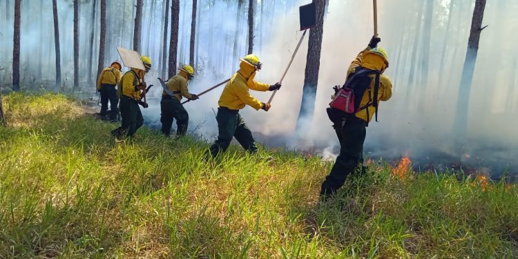 Combate de incendio forestal en Poptún, Petén. / Foto: Conred.