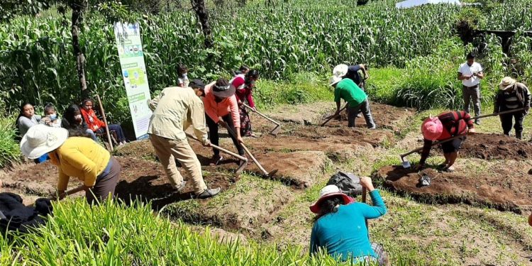 MAGA y Mineduc hacen lanzamiento Nacional de los Huertos Escolares Pedagógicos 2024
