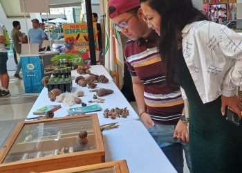 Cuidar la tierra es una responsabilidad de todos