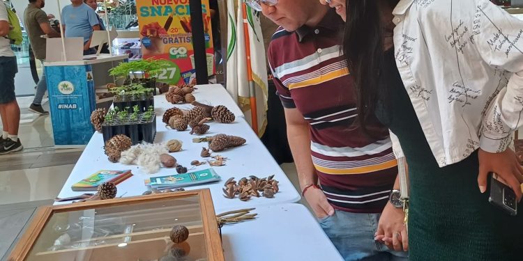 Cuidar la tierra es una responsabilidad de todos