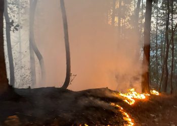 Establecen alianza estratégica para el combate de incendios