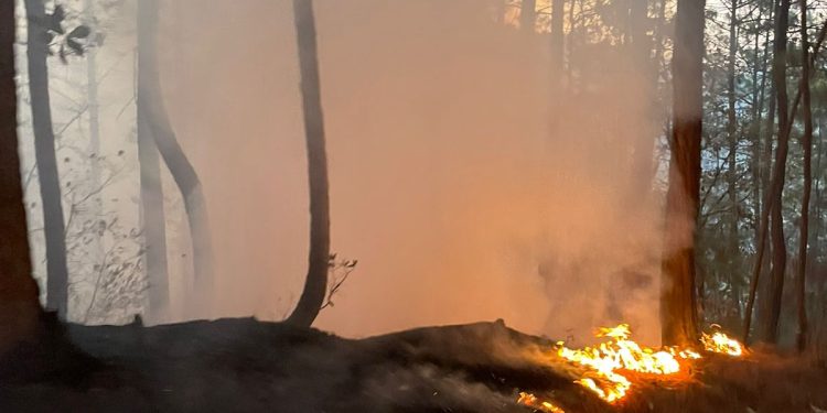 Establecen alianza estratégica para el combate de incendios