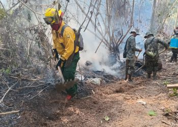 Conred reporta 131 incendios activos en el territorio nacional, la mayoría en Petén