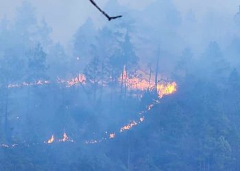 Conred reporta 35 incendios activos a nivel nacional