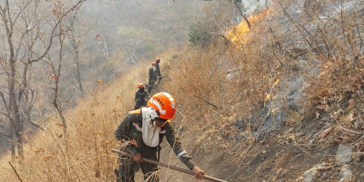 Conred reporta 110 incendios activos en el país|
