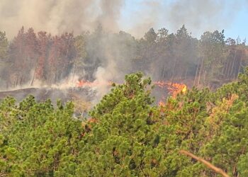 Conred reporta 45 incendios activos en el país