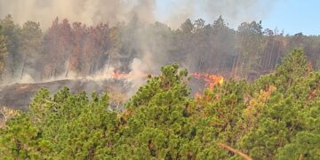 Conred reporta 45 incendios activos en el país