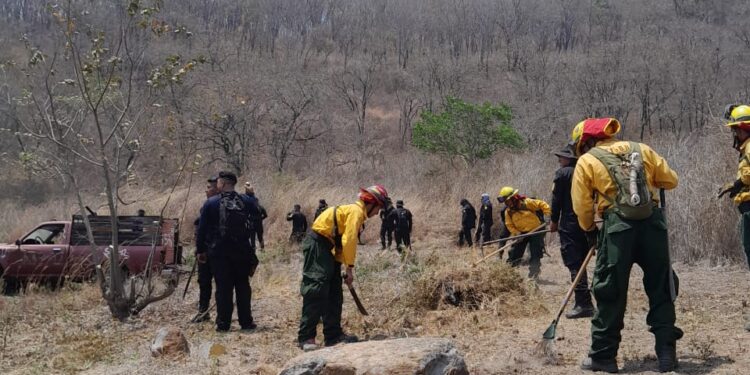 Instituciones siguen con el combate de incendios forestales